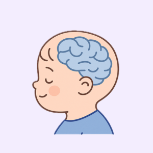 Ilustração de cérebro de bebê